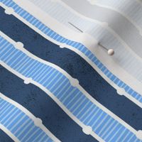 Ladder Stripes - Two Blues- Fresh Coastal Collection