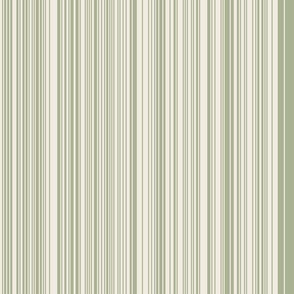 extra skinny varied vertical stripes - creamy white_ light sage green - simple