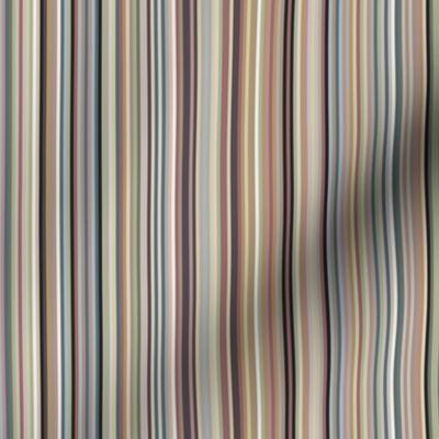 extra skinny varied vertical stripes - multicolor - simple