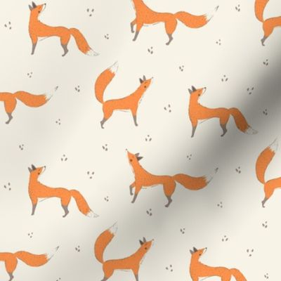 Orange Foxes on Snow
