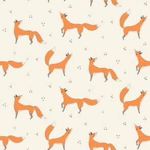 Orange Foxes on Snow