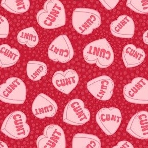 Medium Scale Cunt Valentine Conversation Heart Candy Pink