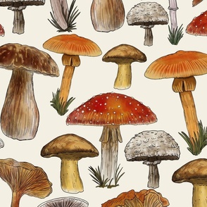 Mushrooms Naturalistic Illustration, Directional, Off White Background,  Large Scale