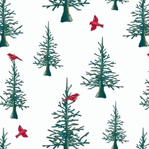 Red (pine grosbeak) arctic birds and evergreen trees on a snowy white background