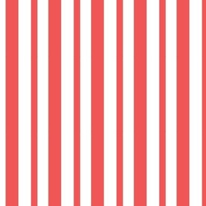 Christmas Holiday Candy Cane Stripe Red and White - 1/2 inch