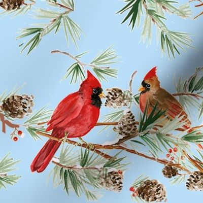 cozy winter  cardinals 