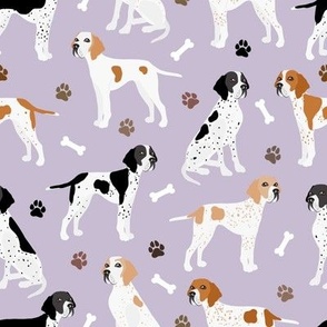 English Pointer Paws and Bones Purple