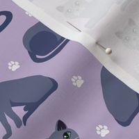 Russian Blue Cats with Paw Prints Purple
