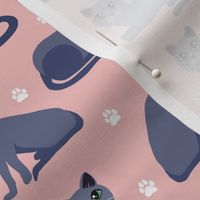 Russian Blue Cats with Paw Prints Pink