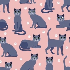 Russian Blue Cats with Paw Prints Pink