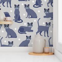 Russian Blue Cats with Paw Prints Gray