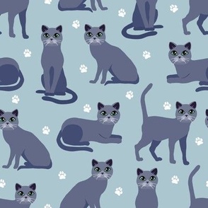 Russian Blue Cats with Paw Prints Blue