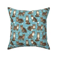 Longhaired Tabby Cats with Paw Prints Blue