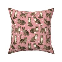 Longhaired Tabby Cats with Paw Prints Pink