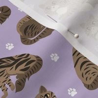 Longhaired Tabby Cats with Paw Prints Purple