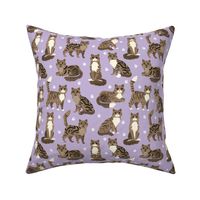 Longhaired Tabby Cats with Paw Prints Purple