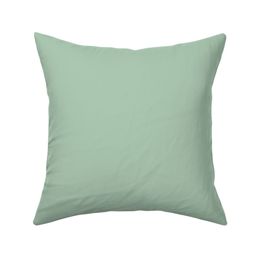 Sage green solid aec9b3,muted light green, pastel green