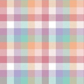 small gingham / summer rainbow