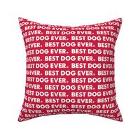 Best Dog Ever - Dog Fabric Red White - Fur Buddy Designs.