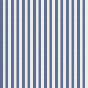 Basic Stripes (0.25" Stripes) - Blue Nova and White Dove   (TBS216)