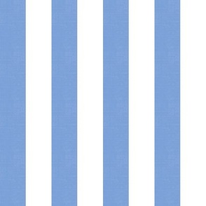 Basic Stripes (1" Stripes) - Cornflower Blue and Bright White  (TBS216)