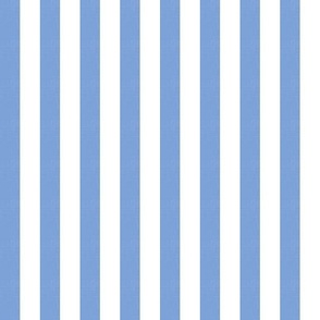 Basic Stripes (0.5" Stripes) -  Cornflower Blue and Bright White  (TBS216)
