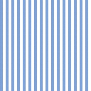 Basic Stripes (0.25" Stripes) -  Cornflower Blue and Bright White  (TBS216)