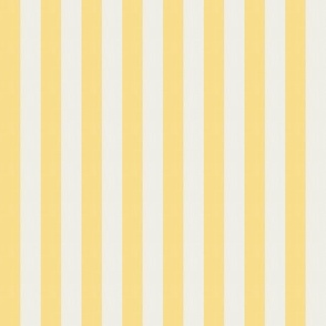 Basic Stripes (0.5" Stripes) -  Honeybee Yellow and Dove White  (TBS216)