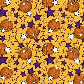 Small Scale Team Spirit Basketball with Stars in LA Los Angeles Lakers Colors Purple and Yellow Gold