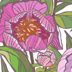 Pink peonies, green leaves. Large scale.