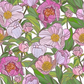 Pink peonies, green leaves.