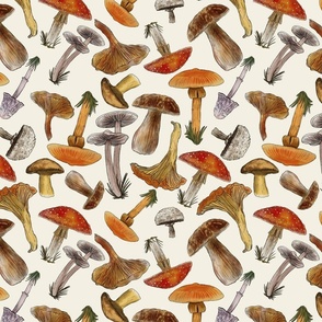 Mushrooms Naturalistic Illustration, Non- Directional, Off White Background,  Medium Scale