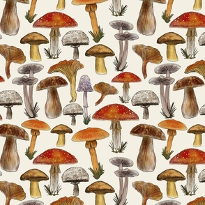 Mushrooms Naturalistic Illustration, Directional, Off White Background,  Medium Scale