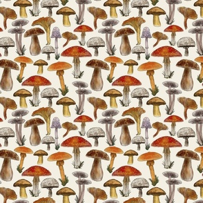 Mushrooms Naturalistic Illustration, Directional, Off White Background,  Small Scale