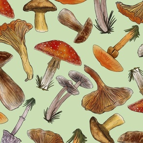Mushrooms Naturalistic Illustration, Non- Directional, Pastel Green Background,   Large Scale