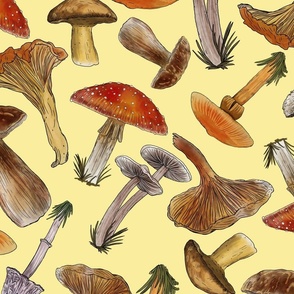 Mushrooms Naturalistic Illustration, Non- Directional, Pastel Yellow Background,   Large  Scale