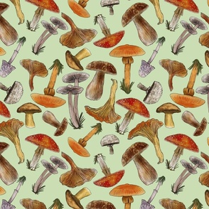 Mushrooms Naturalistic Illustration, Non- Directional, Pastel Green Background, Medium Scale