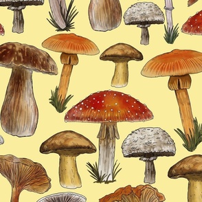 Mushrooms Naturalistic Illustration, Directional, Pastel Yellow Background,  Large Scale