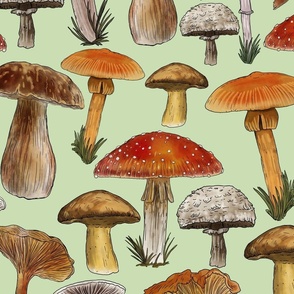 Mushrooms Naturalistic Illustration, Directional, Pastel Green Background,  Large Scale