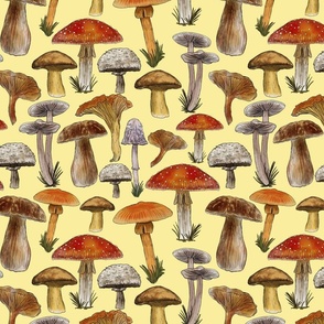 Mushrooms Naturalistic Illustration, Directional, Pastel Yellow Background,  Medium Scale
