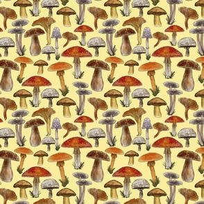 Mushrooms Naturalistic Illustration, Directional, Pastel Yellow Background,  Small Scale