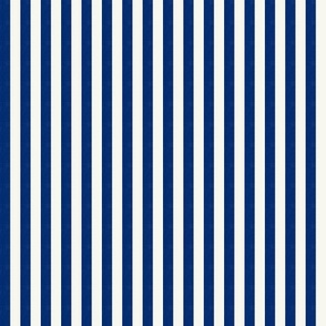 Basic Stripes (0.25" Stripes) - Starry Night Blue and Simply White (TBS216)