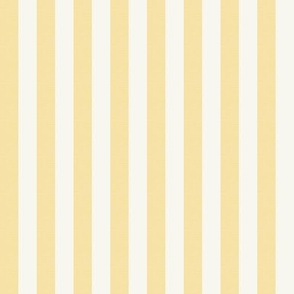 Basic Stripes (0.5" Stripes) - Hawthorn Yellow and Simply White (TBS216)