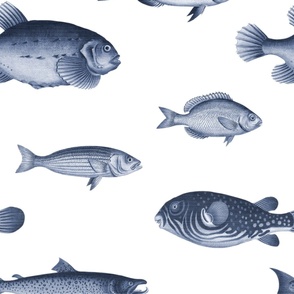 Fish Wallpaper - Navy Blue - White