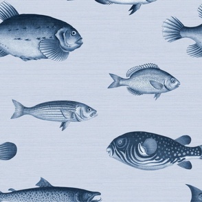 Fish Wallpaper  - Light Blue