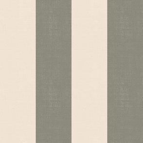 Basic Stripes (2" Stripes) - Antique Pewter Gray and Pristine Off-White  (TBS216)