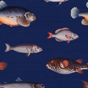 Fish Wallpaper - Navy Blue