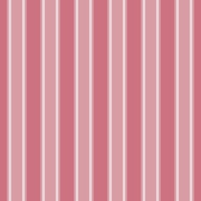Antico Pink Monochromatic Vertical Stripes  Small Scale