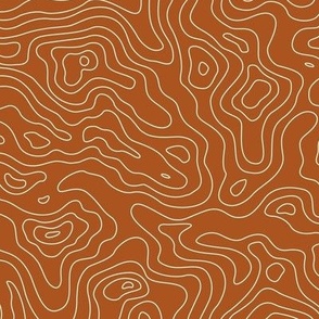 Topographic Map - Land FingerPrint - Minimalist mountains - landscape nature altitude map - Mountain Heights - rust and light blue