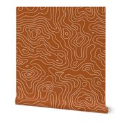 Topographic Map - Land FingerPrint - Minimalist mountains - landscape nature altitude map - Mountain Heights - rust and white